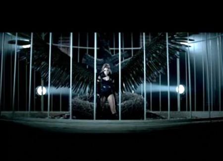 Image de Can't be tamed